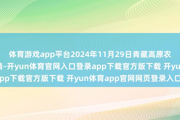体育游戏app平台2024年11月29日青藏高原农副产物集散中心价钱行情-开yun体育官网入口登录app下载官方版下载 开yun体育app官网网页登录入口