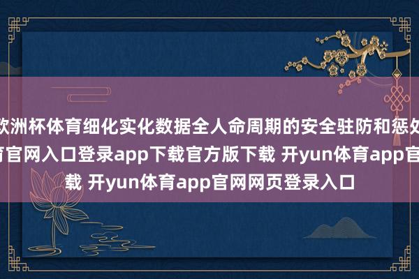 欧洲杯体育细化实化数据全人命周期的安全驻防和惩处条件-开yun体育官网入口登录app下载官方版下载 开yun体育app官网网页登录入口