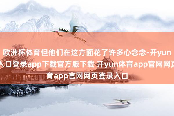 欧洲杯体育但他们在这方面花了许多心念念-开yun体育官网入口登录app下载官方版下载 开yun体育app官网网页登录入口
