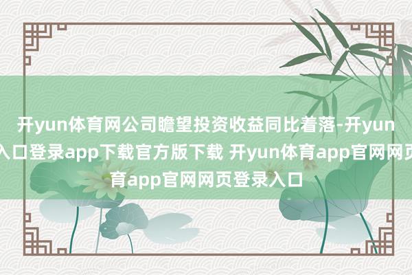 开yun体育网公司瞻望投资收益同比着落-开yun体育官网入口登录app下载官方版下载 开yun体育app官网网页登录入口