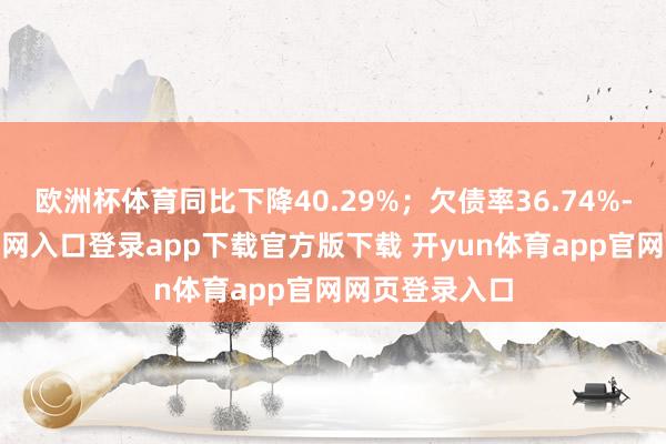 欧洲杯体育同比下降40.29%；欠债率36.74%-开yun体育官网入口登录app下载官方版下载 开yun体育app官网网页登录入口
