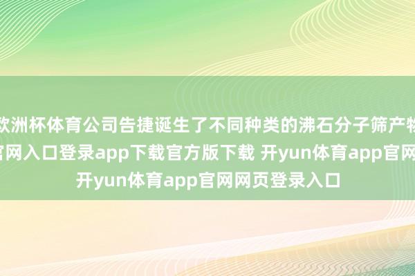 欧洲杯体育公司告捷诞生了不同种类的沸石分子筛产物-开yun体育官网入口登录app下载官方版下载 开yun体育app官网网页登录入口