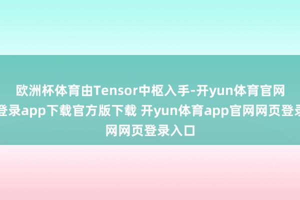欧洲杯体育由Tensor中枢入手-开yun体育官网入口登录app下载官方版下载 开yun体育app官网网页登录入口