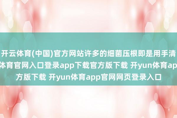 开云体育(中国)官方网站许多的细菌压根即是用手清洁不干净的-开yun体育官网入口登录app下载官方版下载 开yun体育app官网网页登录入口