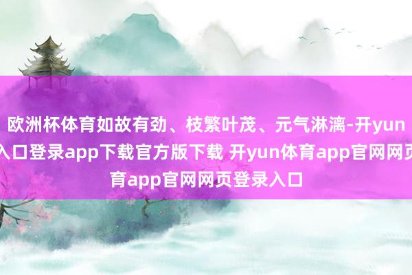 欧洲杯体育如故有劲、枝繁叶茂、元气淋漓-开yun体育官网入口登录app下载官方版下载 开yun体育app官网网页登录入口