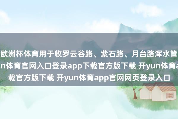 欧洲杯体育用于收罗云谷路、紫石路、月台路浑水管谈冒溢的浑水-开yun体育官网入口登录app下载官方版下载 开yun体育app官网网页登录入口
