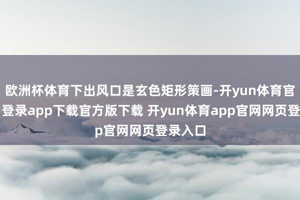 欧洲杯体育下出风口是玄色矩形策画-开yun体育官网入口登录app下载官方版下载 开yun体育app官网网页登录入口