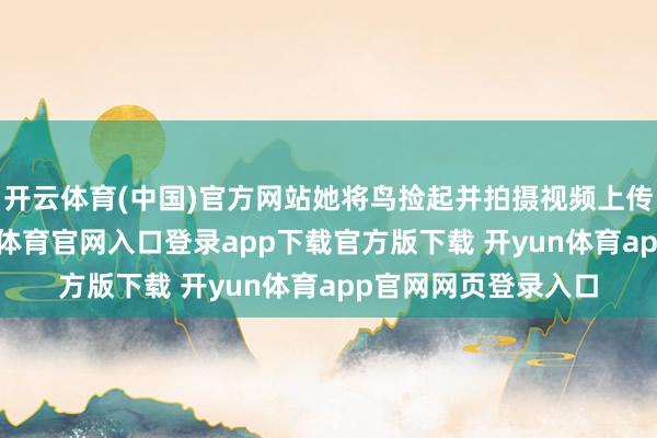 开云体育(中国)官方网站她将鸟捡起并拍摄视频上传至网罗平台-开yun体育官网入口登录app下载官方版下载 开yun体育app官网网页登录入口