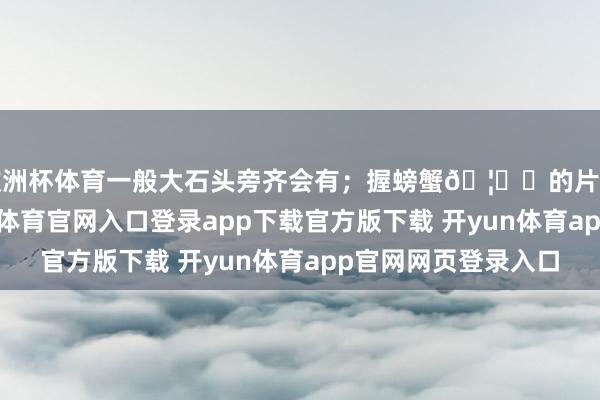 欧洲杯体育一般大石头旁齐会有；握螃蟹🦀️的片刻回到小时辰-开yun体育官网入口登录app下载官方版下载 开yun体育app官网网页登录入口