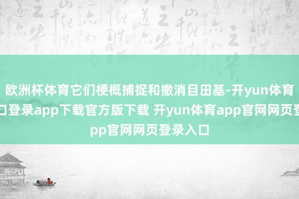 欧洲杯体育它们梗概捕捉和撤消目田基-开yun体育官网入口登录app下载官方版下载 开yun体育app官网网页登录入口
