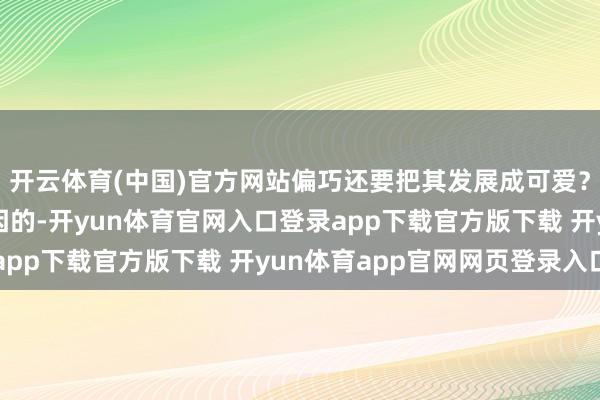 开云体育(中国)官方网站偏巧还要把其发展成可爱？正本如故有深档次原因的-开yun体育官网入口登录app下载官方版下载 开yun体育app官网网页登录入口