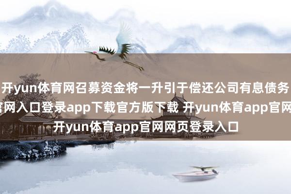 开yun体育网召募资金将一升引于偿还公司有息债务-开yun体育官网入口登录app下载官方版下载 开yun体育app官网网页登录入口