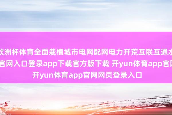 欧洲杯体育全面栽植城市电网配网电力开荒互联互通水平-开yun体育官网入口登录app下载官方版下载 开yun体育app官网网页登录入口