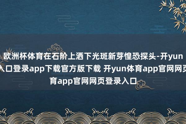 欧洲杯体育在石阶上洒下光斑新芽惶恐探头-开yun体育官网入口登录app下载官方版下载 开yun体育app官网网页登录入口