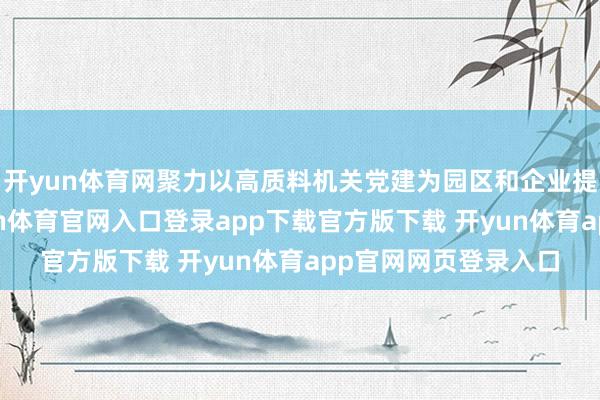 开yun体育网聚力以高质料机关党建为园区和企业提供高质效服务-开yun体育官网入口登录app下载官方版下载 开yun体育app官网网页登录入口