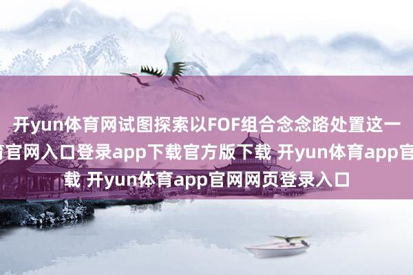 开yun体育网试图探索以FOF组合念念路处置这一问题-开yun体育官网入口登录app下载官方版下载 开yun体育app官网网页登录入口