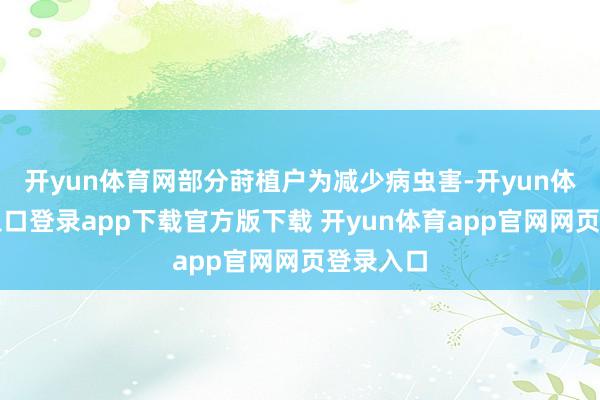 开yun体育网部分莳植户为减少病虫害-开yun体育官网入口登录app下载官方版下载 开yun体育app官网网页登录入口