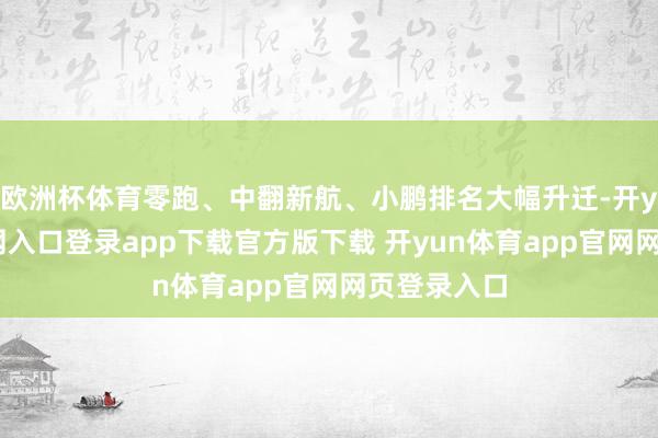 欧洲杯体育零跑、中翻新航、小鹏排名大幅升迁-开yun体育官网入口登录app下载官方版下载 开yun体育app官网网页登录入口