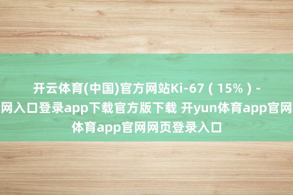 开云体育(中国)官方网站Ki-67 ( 15% ) -开yun体育官网入口登录app下载官方版下载 开yun体育app官网网页登录入口