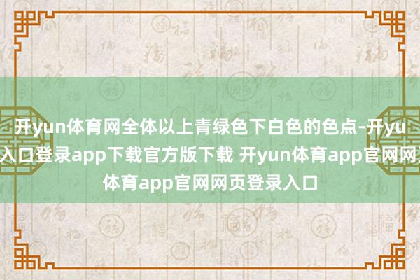 开yun体育网全体以上青绿色下白色的色点-开yun体育官网入口登录app下载官方版下载 开yun体育app官网网页登录入口